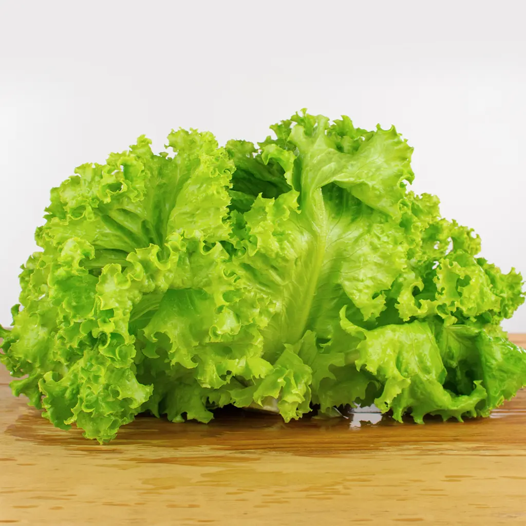 Alface Crespa Agroecológica (Maço)