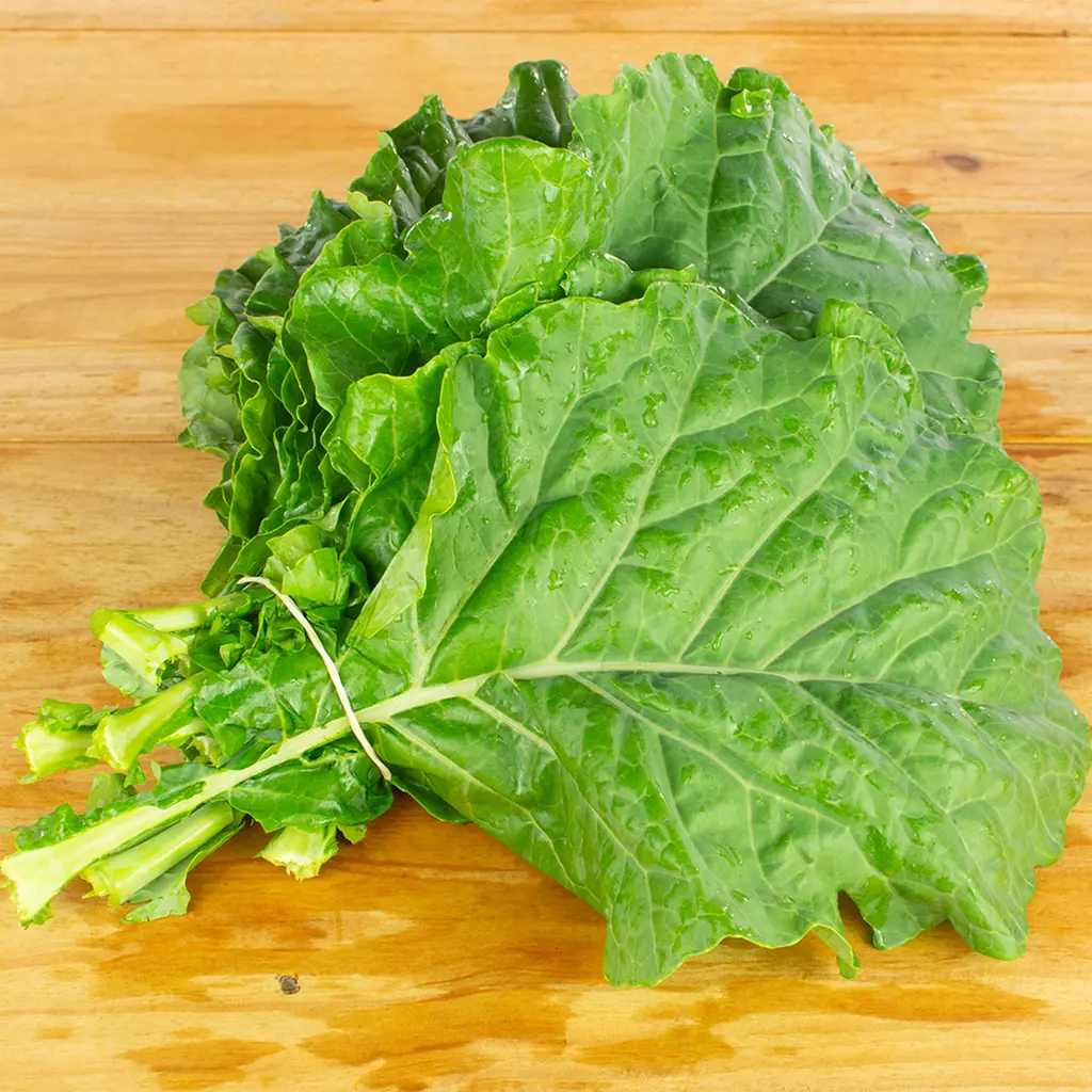 Couve Agroecológica (Maço)