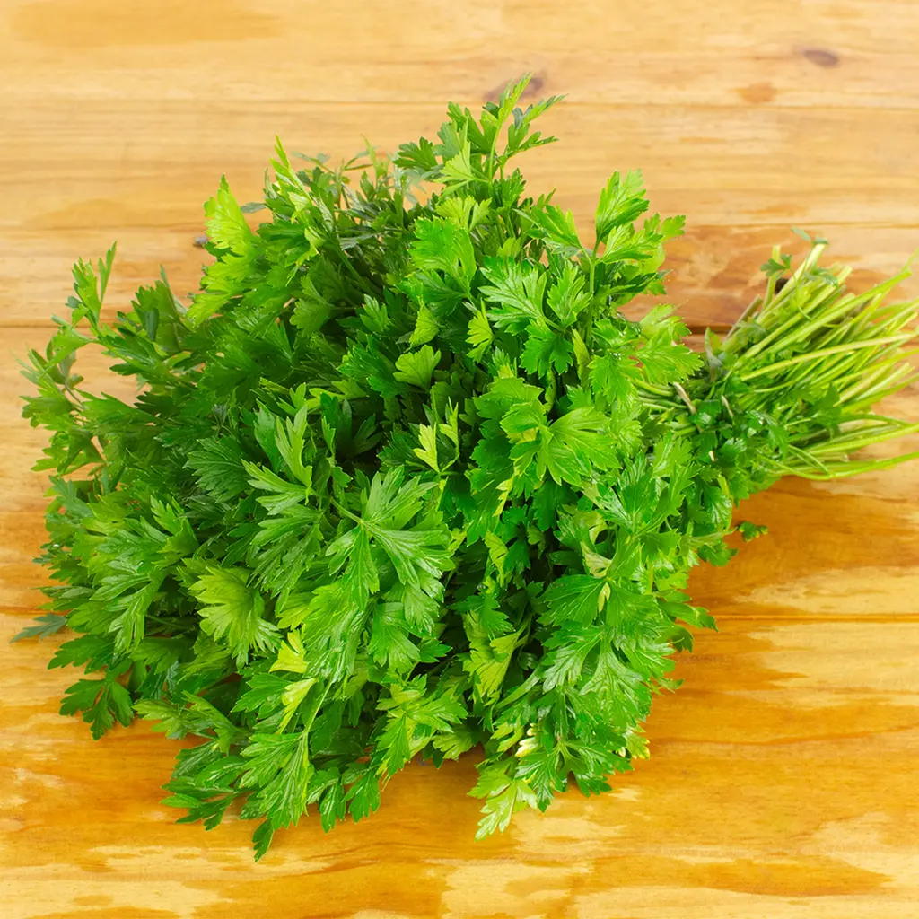 Salsinha Agroecológica (Maço)