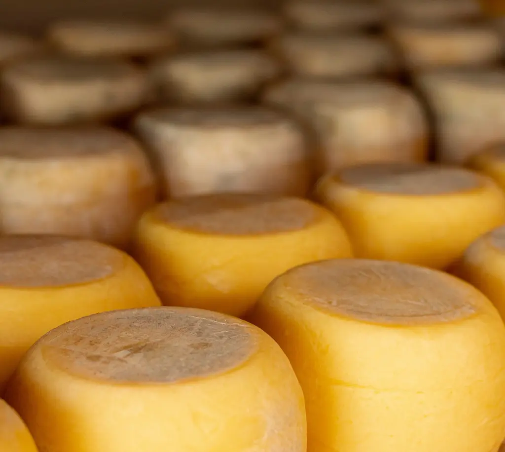 Queijo Meia Cura 450gr